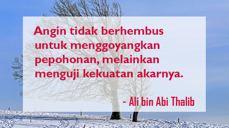 Kata Kata Mutiara Kehidupan - Ali bin Abi Thalib