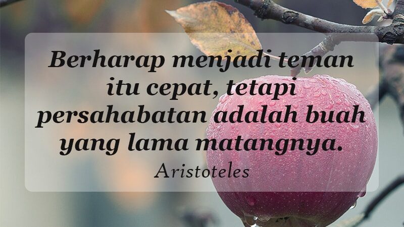 kata kata indah untuk sahabat - Aristoteles
