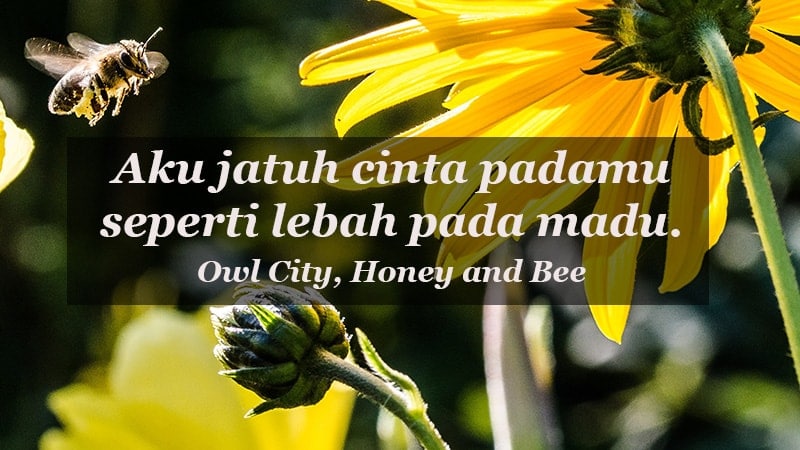 kata kata indah untuk kekasih - Owl City