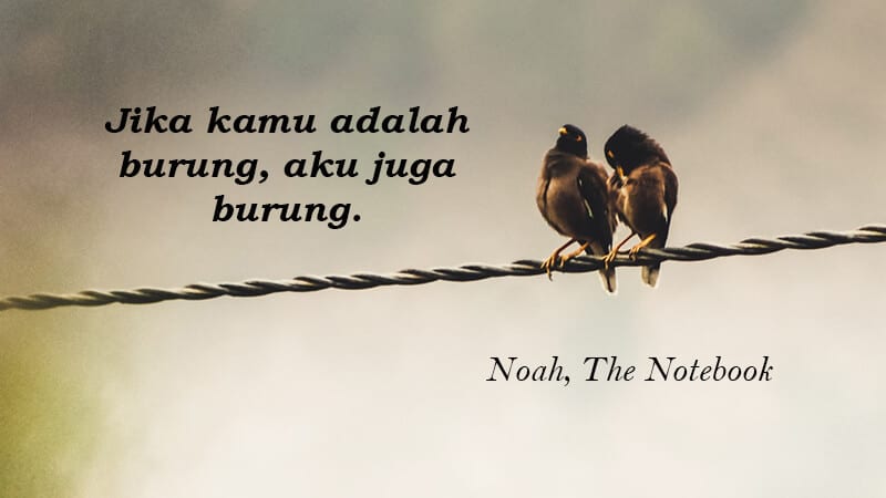 Kata Kata buat Pacar Tersayang - Noah