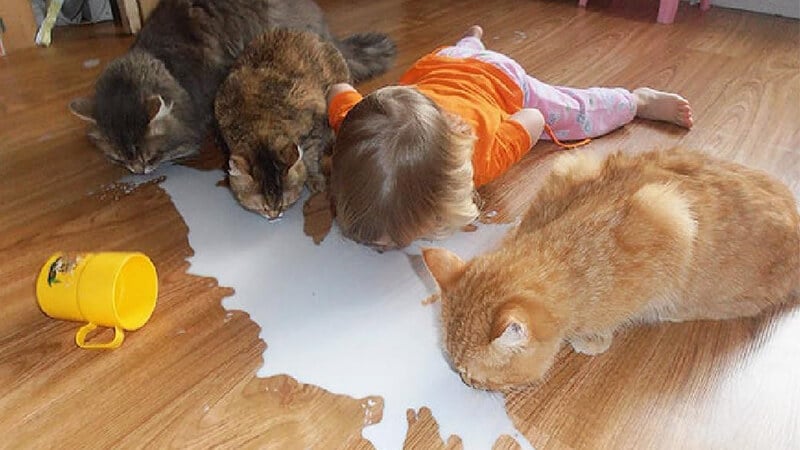 Foto foto bayi lucu - Minum ala kucing