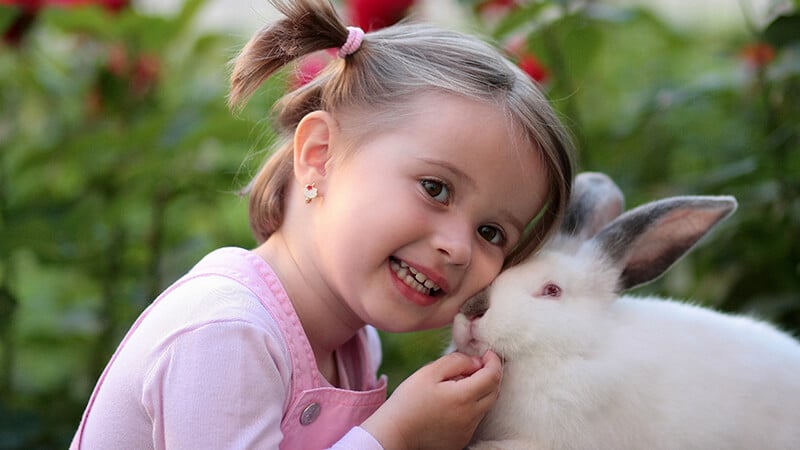 Foto foto bayi lucu - Anak kecil dan kelinci