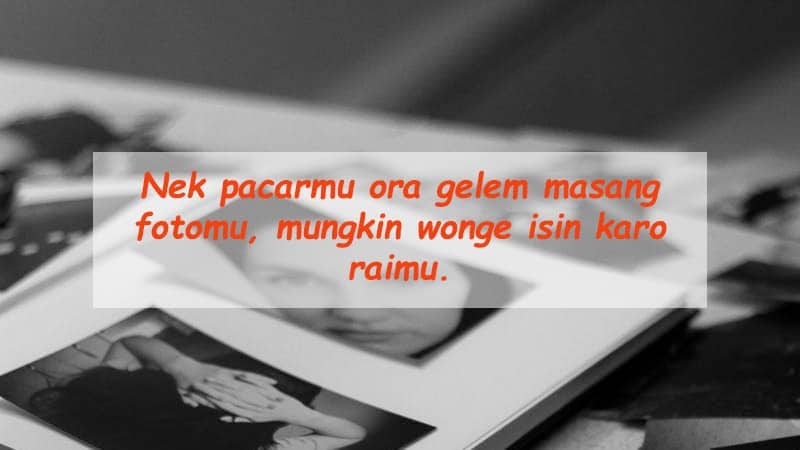 90+ Gambar Kata Hewan Lucu Bahasa Jawa Gratis Terbaru
