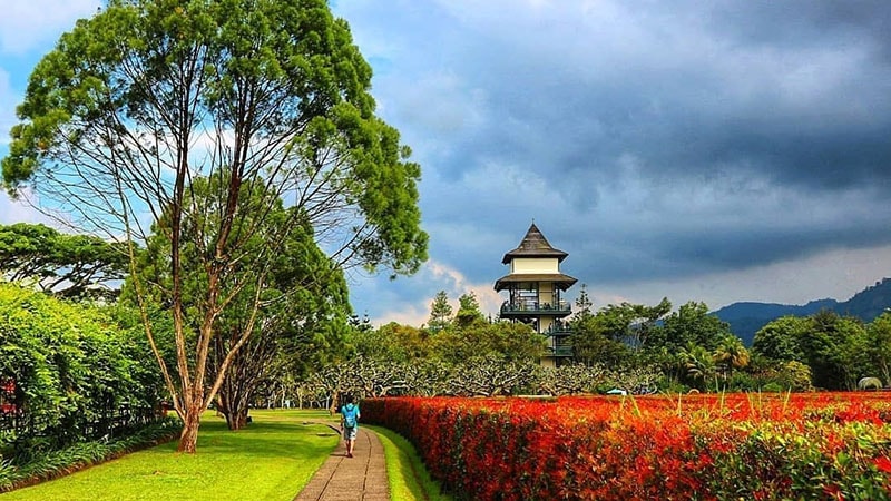 Tempat Wisata di Bogor - Taman Bunga Nusantara