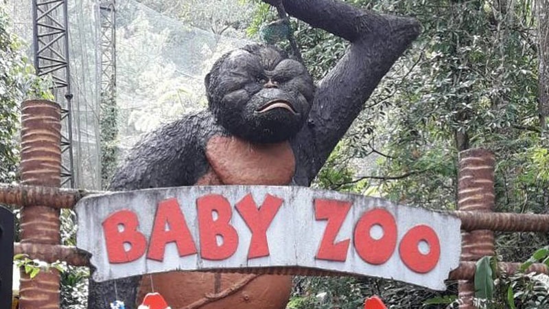 Wisata Taman Safari Bogor - Baby Zoo