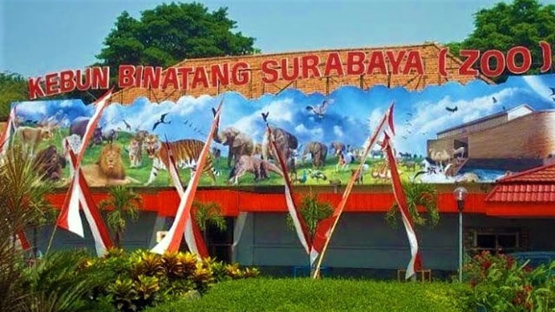 Kebun Binatang Surabaya - Baliho Kebun BInatang Surabaya