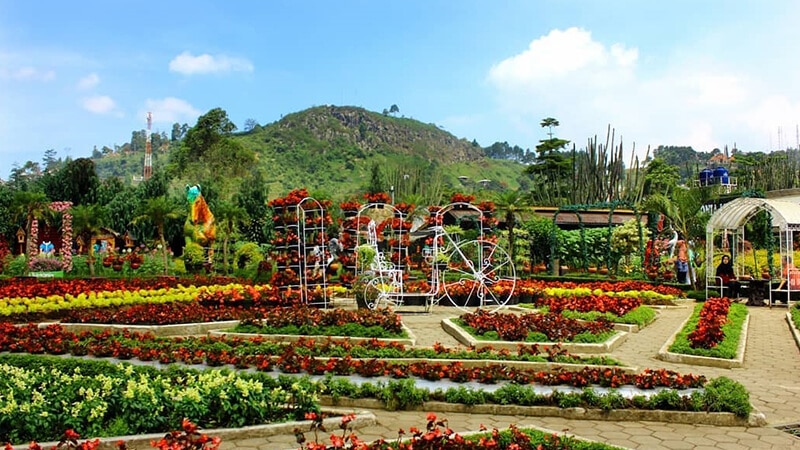 Tempat Wisata di Lembang Bandung - Taman Begonia