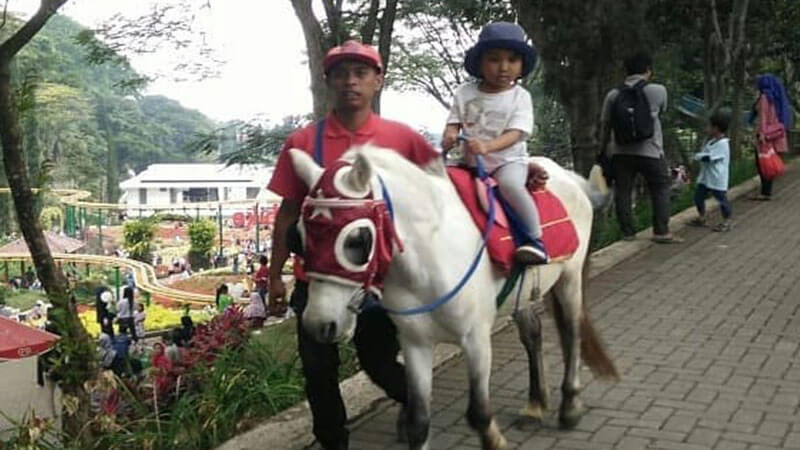 Taman wisata Selecta Malang - Naik kuda