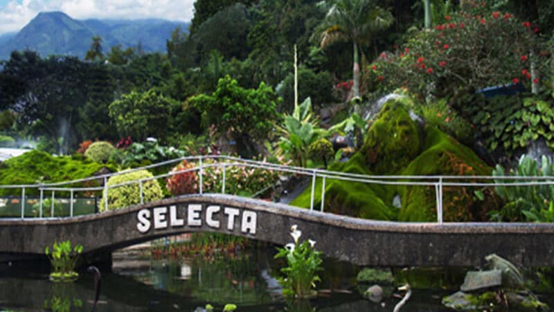 Taman wisata Selecta Malang - Kolam ikan