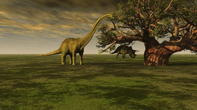 Macam Macam Dinosaurus dan Namanya - Dinosaurus Herbivora