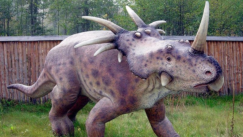 Macam Macam Dinosaurus dan Namanya - Styracosaurus