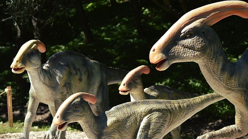 Macam Macam Dinosaurus dan Namanya - Parasaurolophus