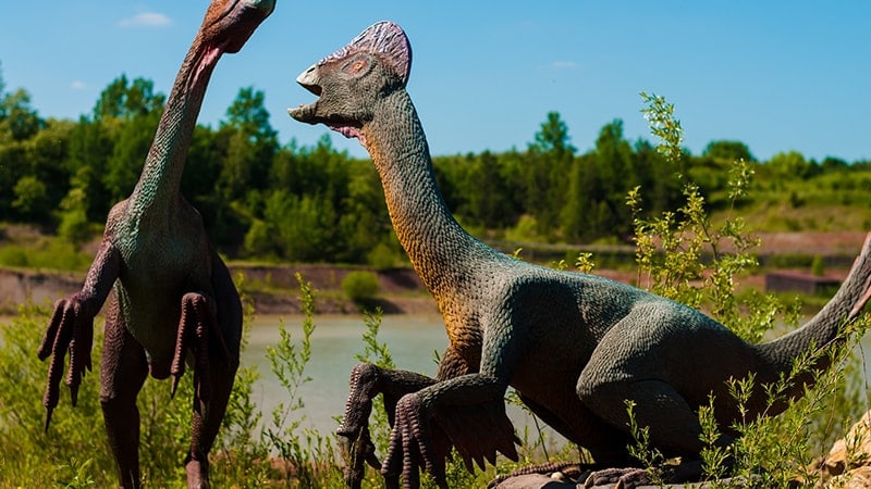 Macam Macam Dinosaurus dan Namanya - Corythosaurus