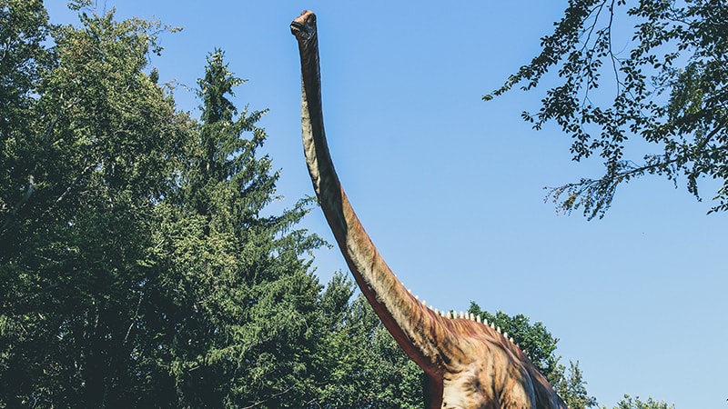 Macam Macam Dinosaurus dan Namanya - Apatosaurus