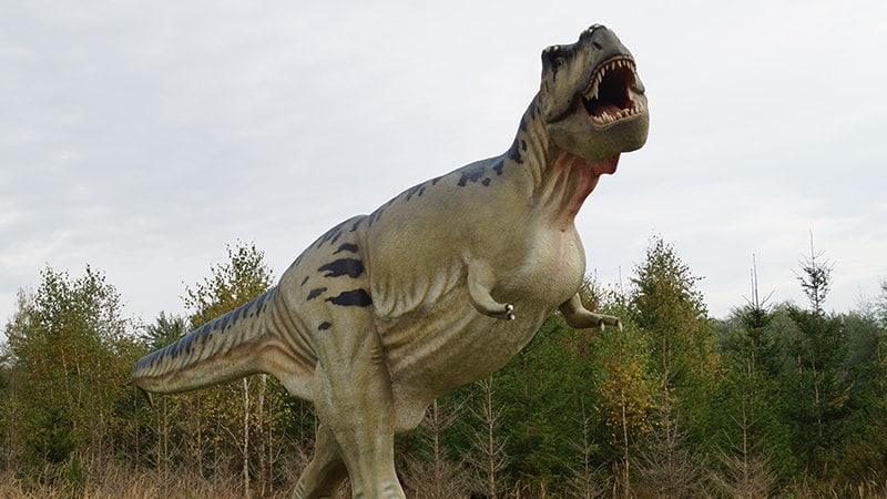 Macam Macam Dinosaurus dan Namanya - Tyrannosaurus