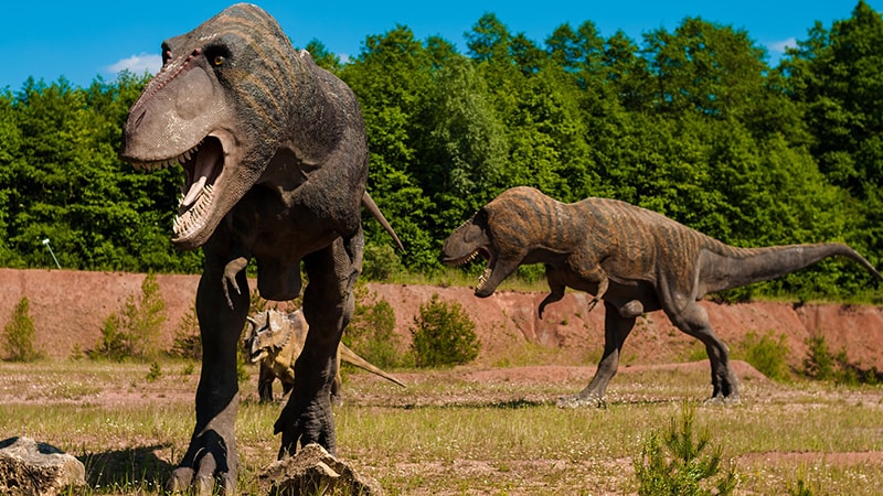 Macam Macam Dinosaurus dan Namanya - Carnotaurus