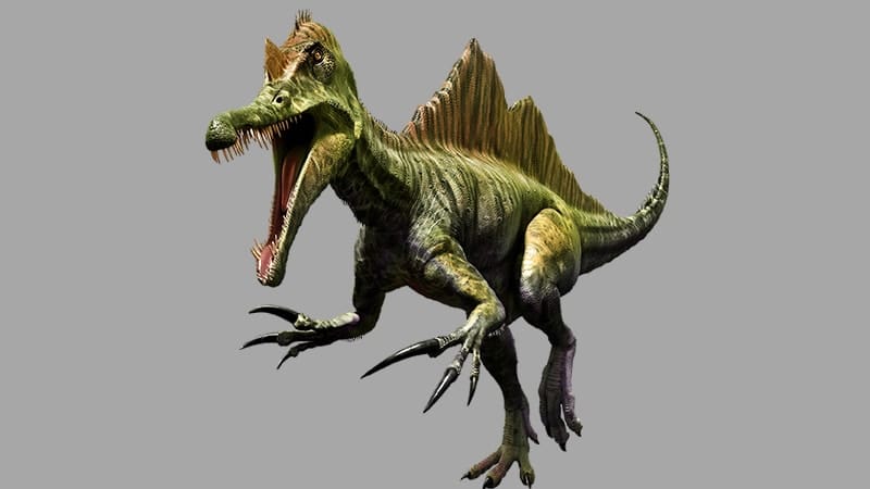 Macam Macam Dinosaurus dan Namanya - Spinosaurus
