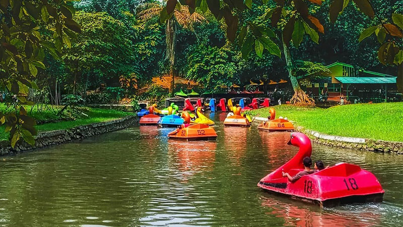 Kebun Binatang Ragunan Jakarta - Taman Perahu Angsa
