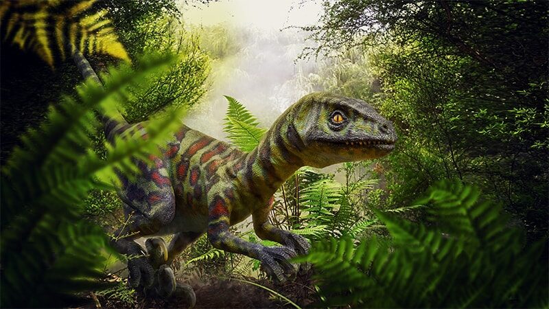 Dinosaurus Terbesar di Dunia - Raptor