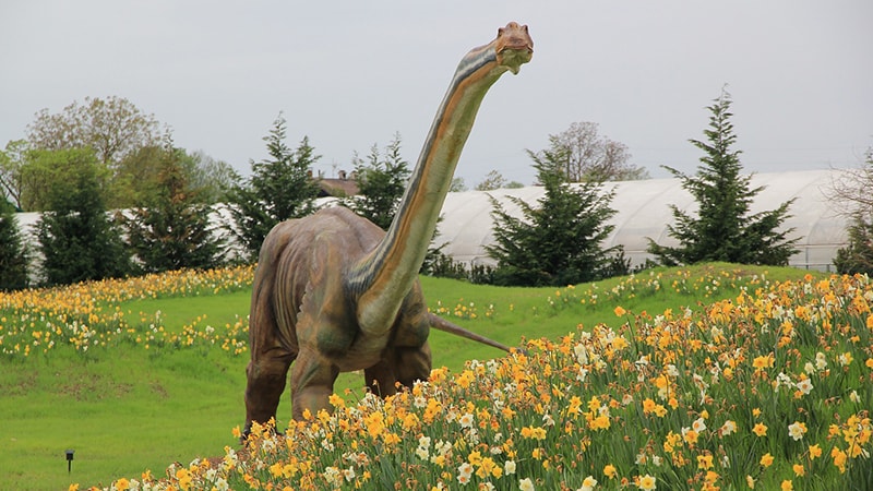 Dinosaurus Terbesar di Dunia - Argentinosaurus