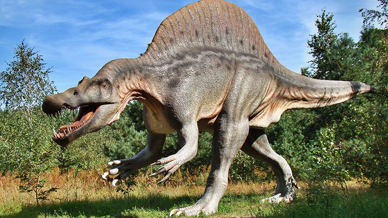 Dinosaurus Terbesar di Dunia - Spinosaurus