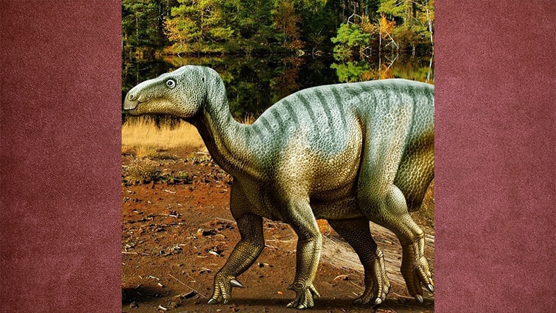 Dinosaurus Terbesar di Dunia - Iguanadon