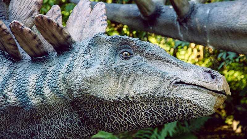 Dinosaurus Terbesar di Dunia - Stegosaurus