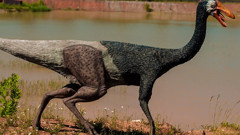 Dinosaurus Terbesar di Dunia - Galimimus