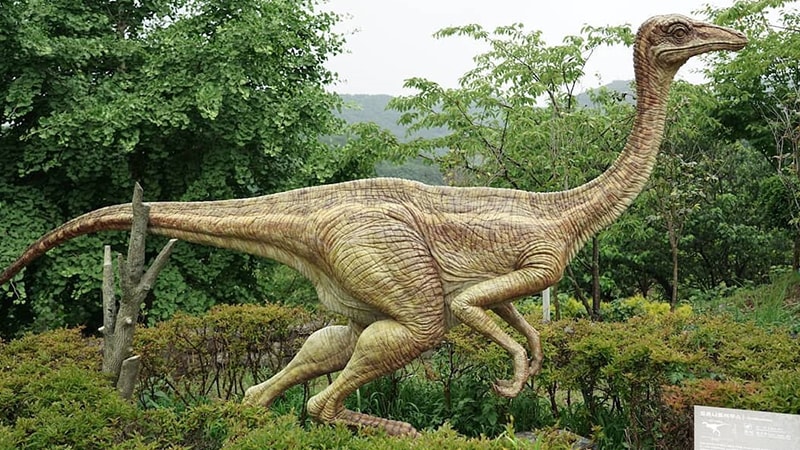 Dinosaurus Terbesar di Dunia - Ornithomimus