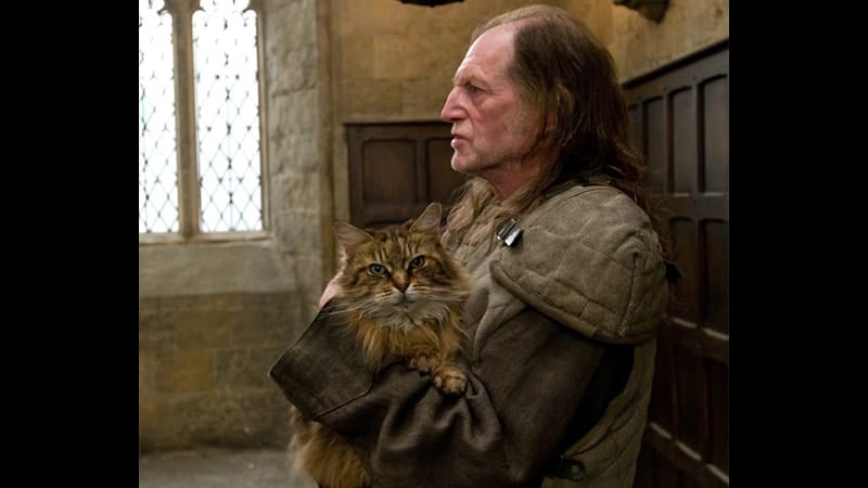 Nama-Nama Kucing Lucu - Mrs. Norris dalam Film Harry Potter