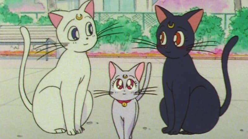 Nama-Nama Kucing Lucu - Artemis, Luna, dan Diana dalam Film Sailor Moon