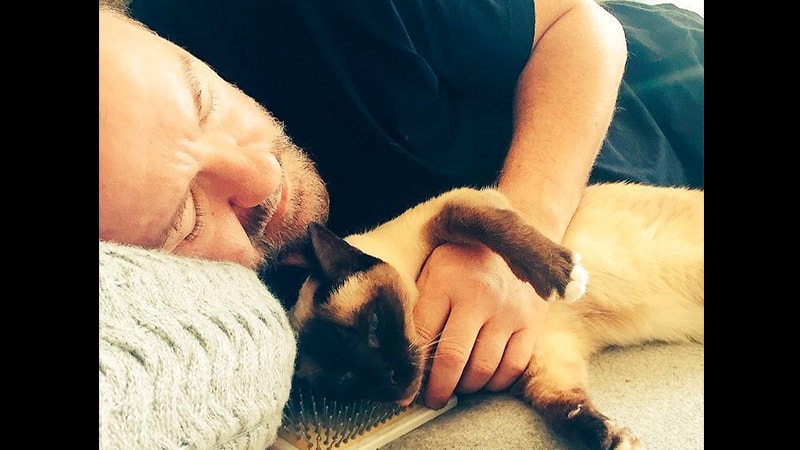 Nama-Nama Kucing Lucu - Ollie Milik Ricky Gervais