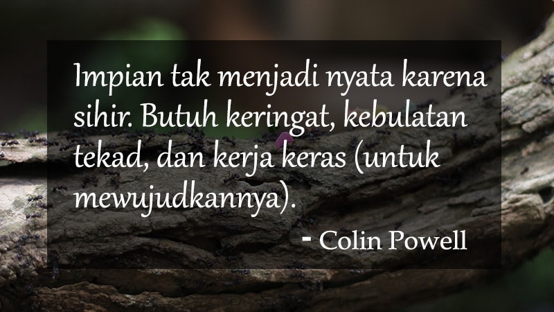 Kata-Kata Semangat Kerja - Colin Powell
