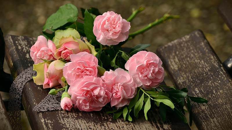 Bunga Mawar - Mawar Potong