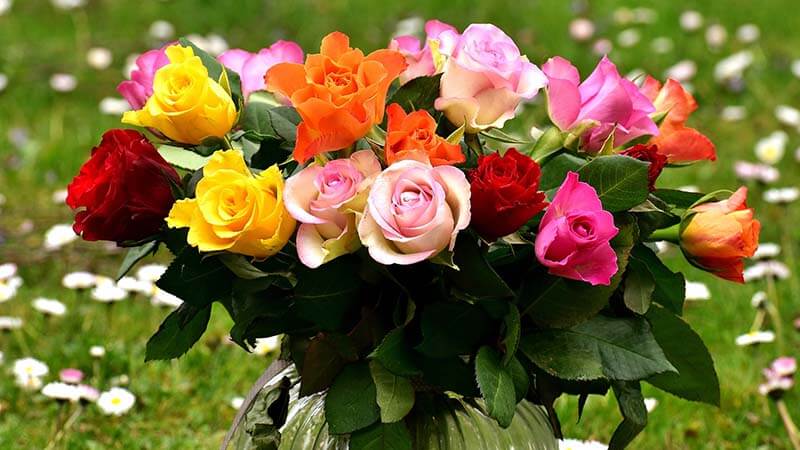 Bunga Mawar - Mixed Roses