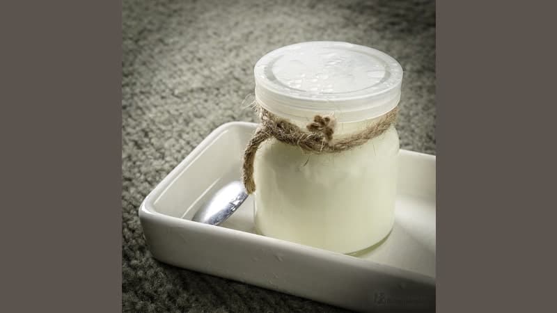 Manfaat Yogurt untuk Ibu Hamil - Yogurt untuk Ibu Hamil