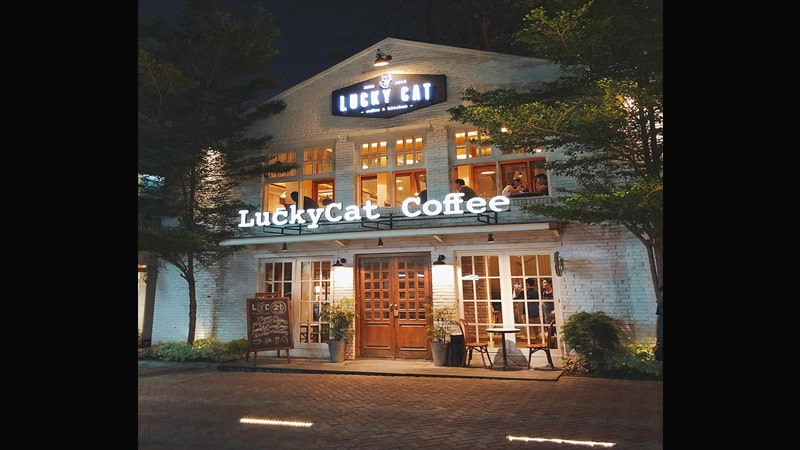 Tempat Ngopi di Jakarta - Lucky Cat Coffee
