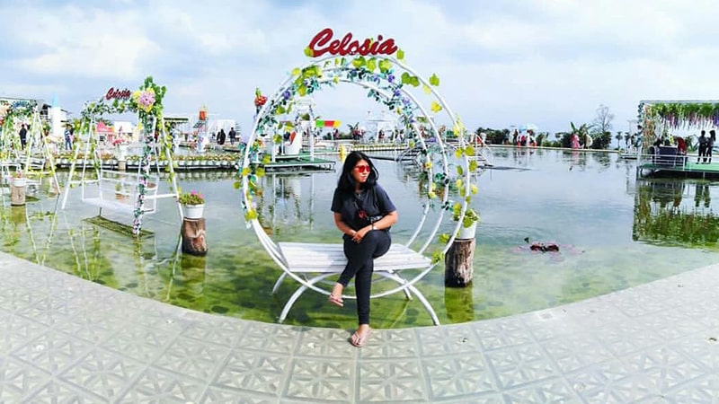 Tempat Wisata Bandungan Semarang - Taman Bunga Celosia Bandungan