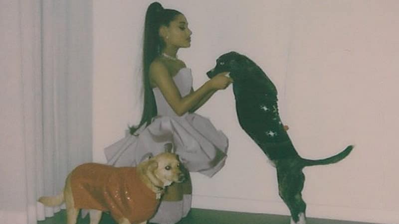 Profil Ariana Grande - Ariana dan Dua Anjing