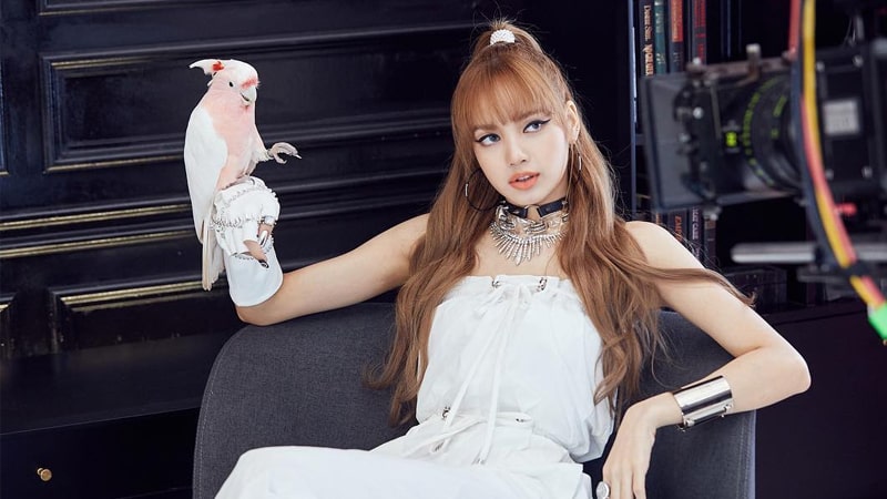 BLACKPINK Lisa's Photos - Lisa and the Parrot