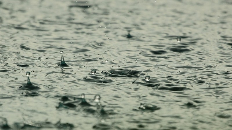 Kata-Kata Hujan Lucu - Genangan Air Hujan