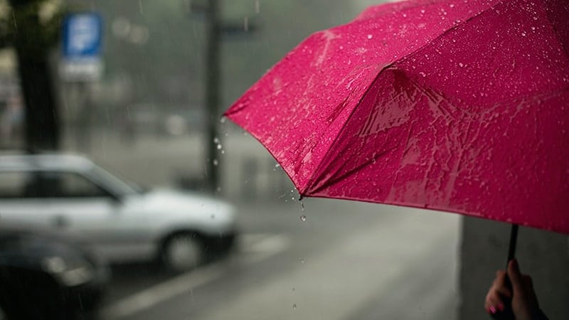 Kata-Kata Bijak Mutiara tentang Hujan - Payung Merah Muda